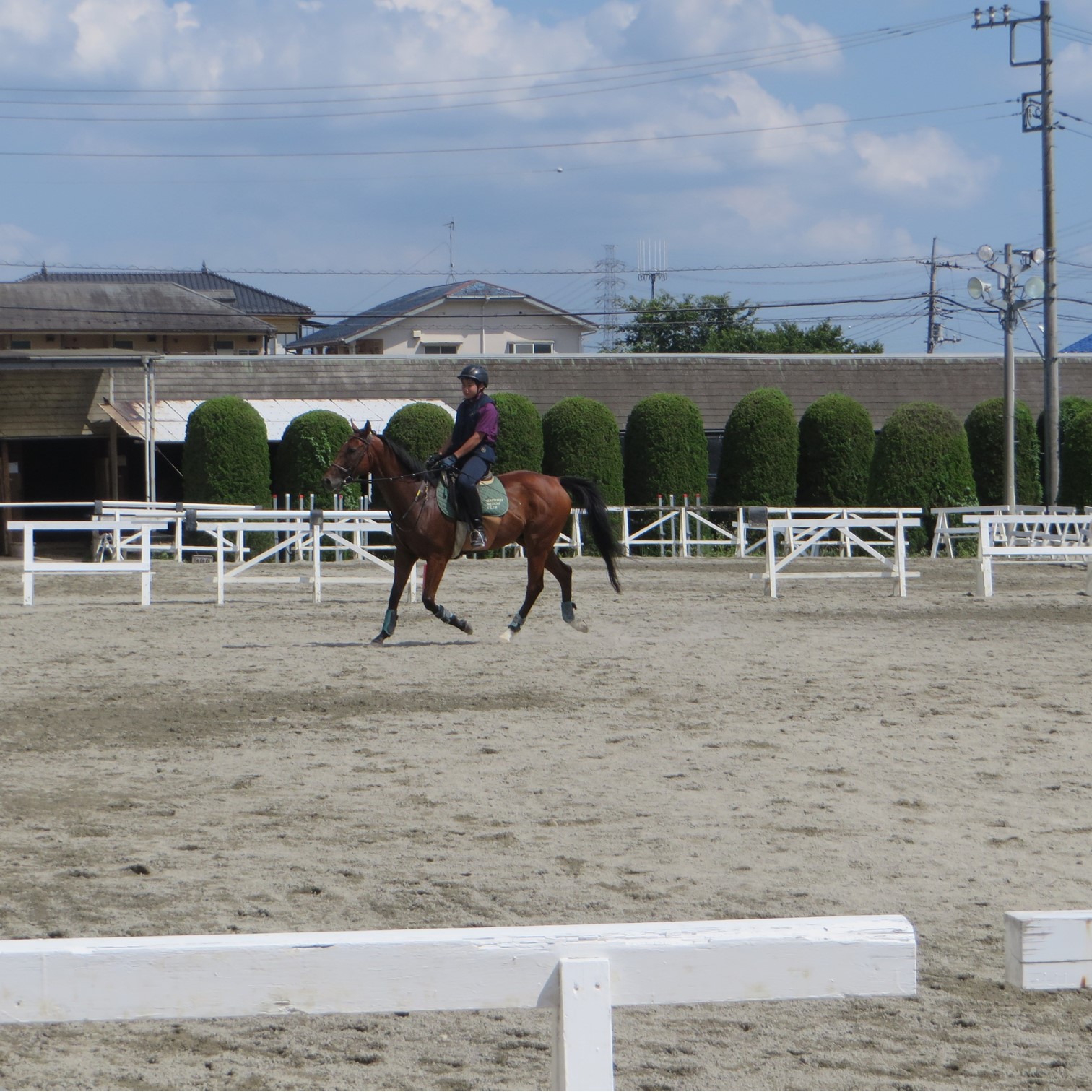 八王子乗馬クラブ 騎乗回数券 - 施設利用券